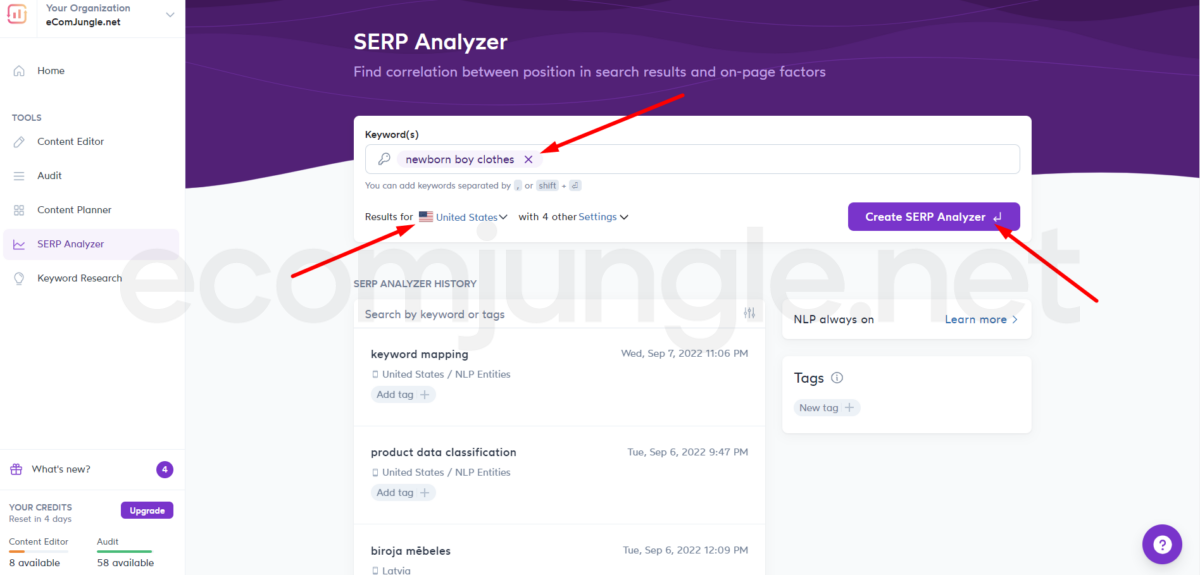 Enter keyword in Surfer SEO SERP analysis tool to analyze the most critical features of the content of the pages in those top positions