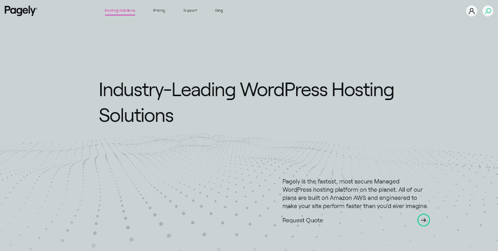 Pagely is a web hosting solution VPS that provides a secure, fast, and scalable service.