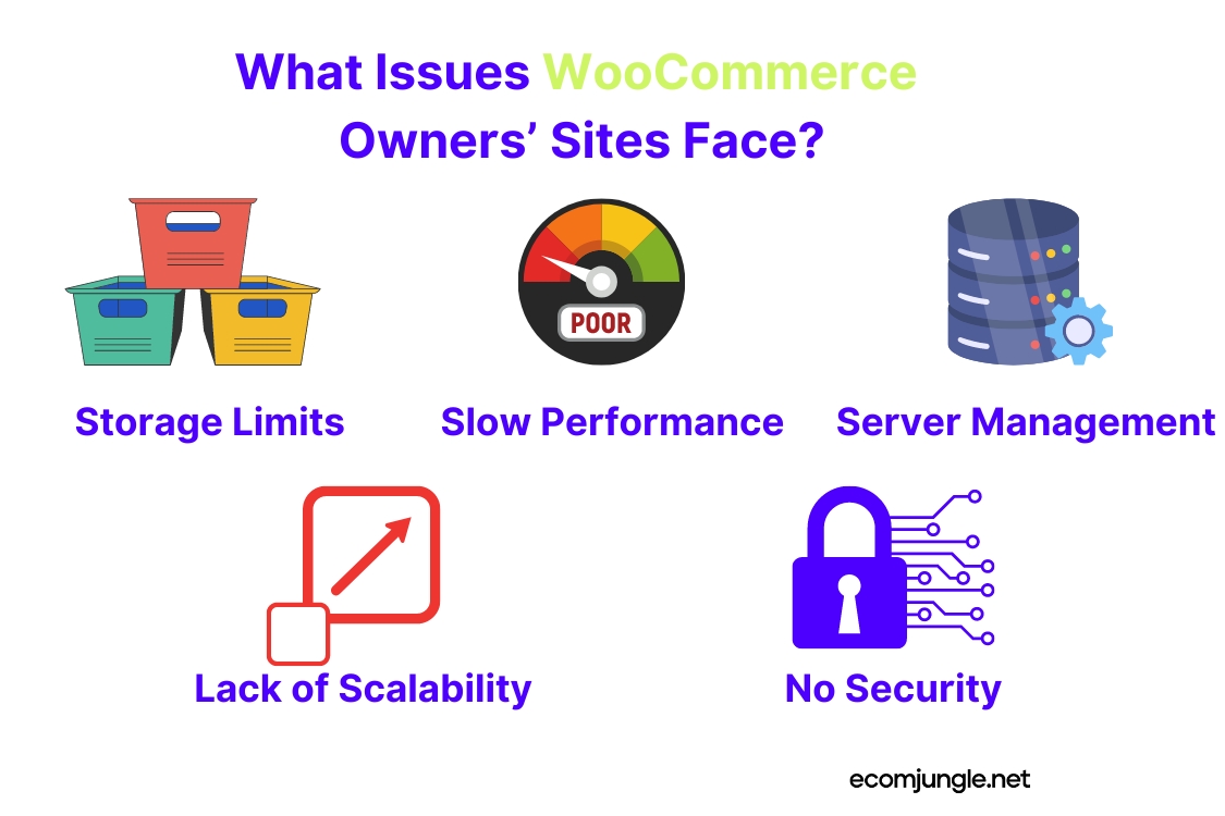 If online storage owners want's to have woocommerce site they need to face some specific problems.
