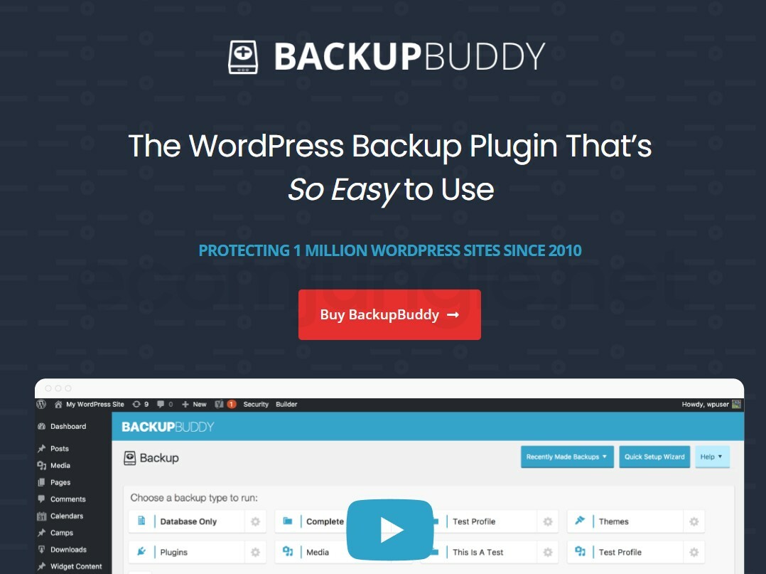 BackupBuddy is a great WordPress plugin that has a yearly fee to gain access to all of its features