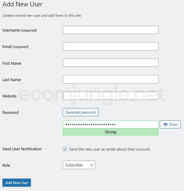 On the Add New User page, you’ll need to provide a Username, Email, Password, and Role