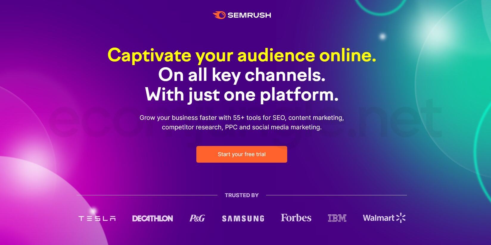 Semrush one of the best site audit tools