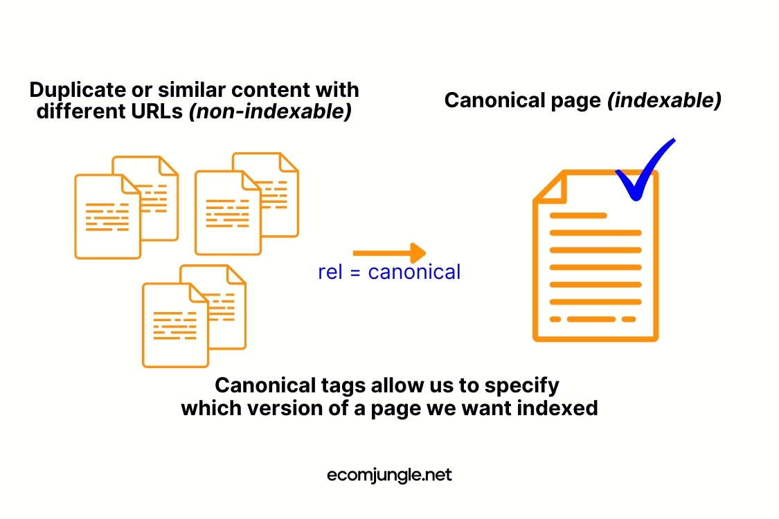 Assistance with Canonical URLs